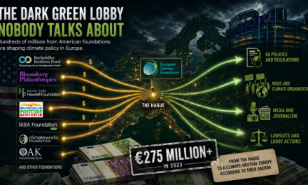 Die dunkle grüne Lobby, über die niemand spricht