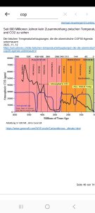 1000010339