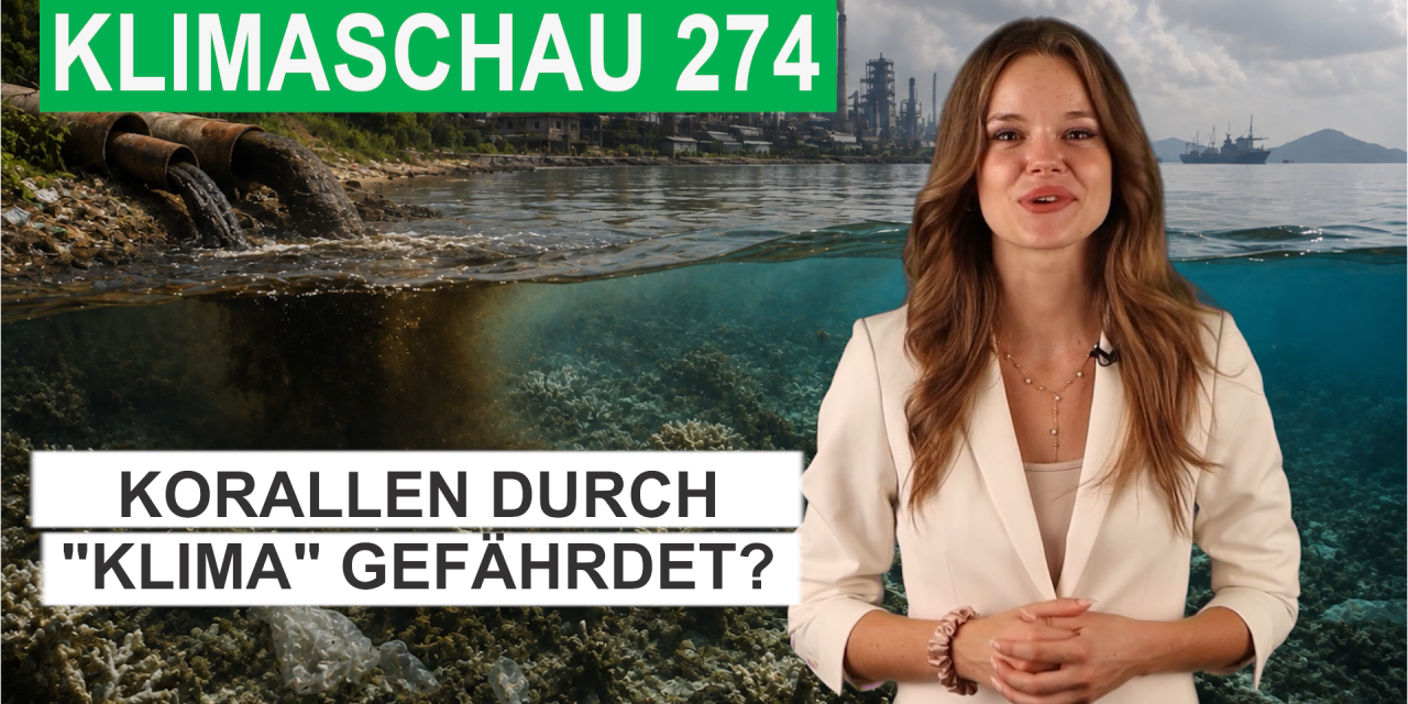 Korallenriffe im Pazifik: größte Gefahr durch Industrie – Klimaschau 274