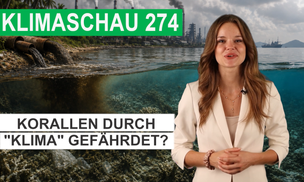 Korallenriffe im Pazifik: größte Gefahr durch Industrie – Klimaschau 274