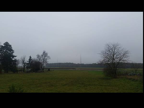 Utopische Träume von Netto-Null