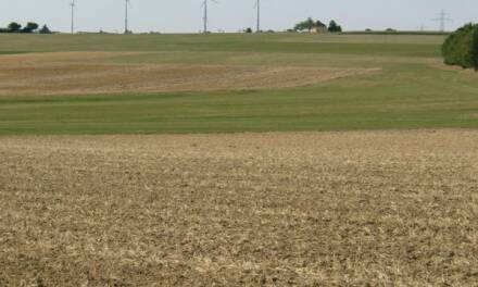 Vorschläge zur Eindämmung der Sommerspitzentemperaturen