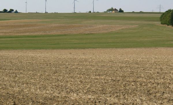 Vorschläge zur Eindämmung der Sommerspitzentemperaturen