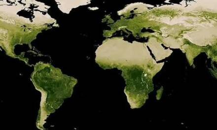 Globale Ergrünung erreicht einen neuen Rekord, während der Klimanotstand ausbleibt