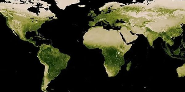 Globale Ergrünung erreicht einen neuen Rekord, während der Klimanotstand ausbleibt