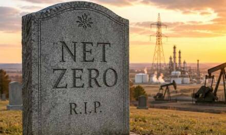 <em>Net Zero</em> ist aus und vorbei – wie die wirtschaftliche Realität dem Projekt den Garaus gemacht hat.