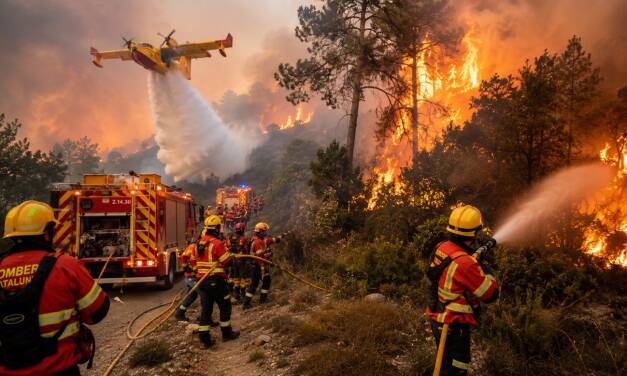 Die Wahrheiten hinter dem ständigen Waldbrand-Alarm