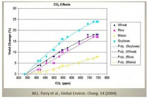 CO2-Duengung