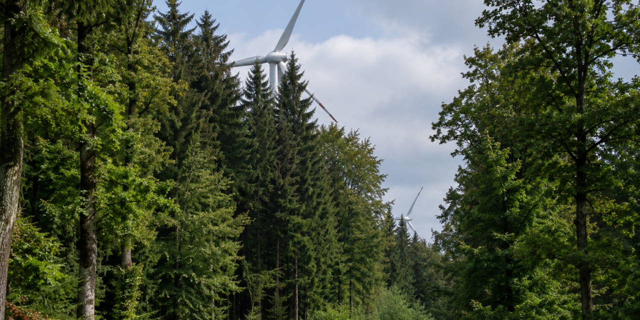 „Die Auslastung ihrer Windparks hüten die Betreiber wie ein Staatsgeheimnis“