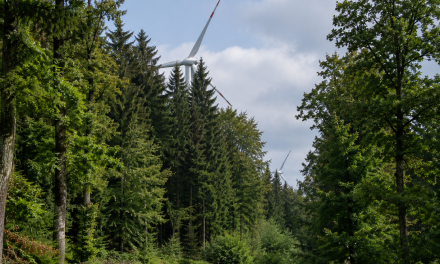 „Die Auslastung ihrer Windparks hüten die Betreiber wie ein Staatsgeheimnis“