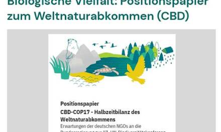 UN-Biodiversitätsgipfel COP17 – Ganz oben auf der Tagesordnung steht die weltweite Umsetzung der „30×30“-Initiative.