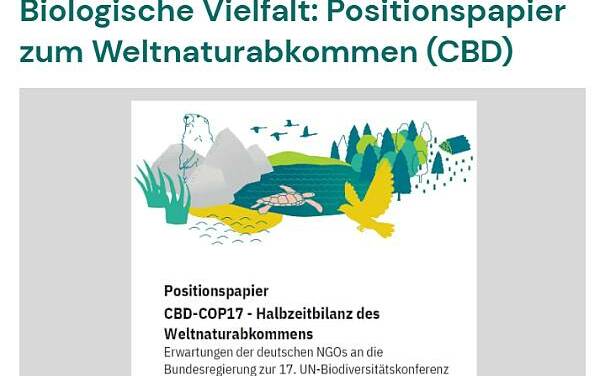 UN-Biodiversitätsgipfel COP17 – Ganz oben auf der Tagesordnung steht die weltweite Umsetzung der „30×30“-Initiative.