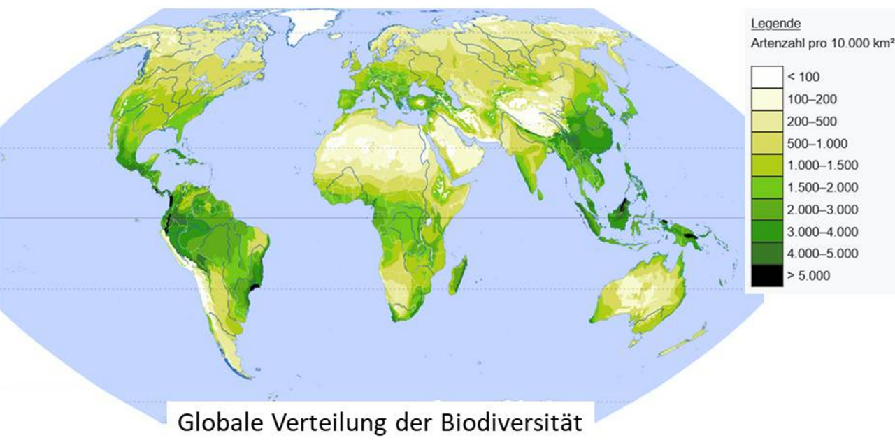 Der UN-Weltbiodiversitätsrat – ein neues Instrument zur Dekarbonisierung unserer Welt?