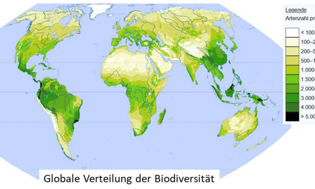 Der UN-Weltbiodiversitätsrat – ein neues Instrument zur Dekarbonisierung unserer Welt?